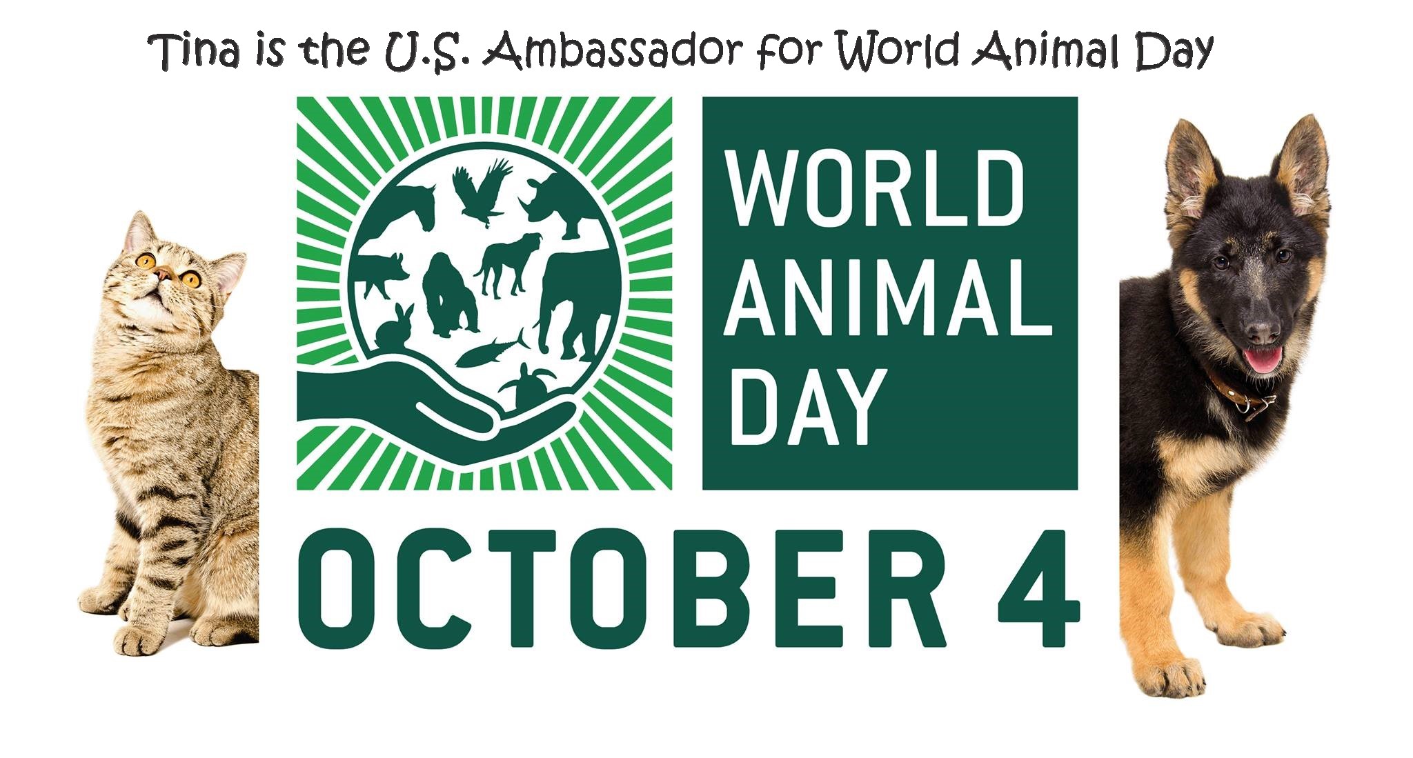 Happy World Animal Day!! — Animal Welfare Issues