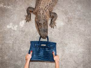 Jane Birkin: PETA calls for stop to crocodile bags in her honor
