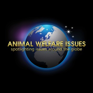 Animal Welfare Issues TV Show , June 22nd @ 6:30 PM @ BCTV | Reading | Pennsylvania | United States