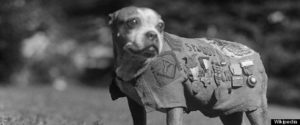 Sgt. Stubby