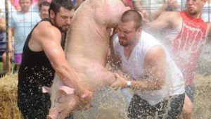 Peaceful Protest against Pig Wrestling Event at Caldron Falls Bar and Grill, Wisconsin @ Caldron Falls Bar and Grill | Cuba City | Wisconsin | United States