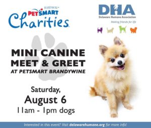 Mini Canine Meet and Greet for Delaware Humane Association @ Pet Smart | Wilmington | Delaware | United States