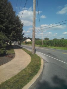 horse and buggy on Bethany Road, Lancaster County. photo by Tina Evangelista-Eppenstein