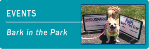 Bark in the Park / Animal Welfare Association @ Timber Creek Dog Park | New Jersey | United States