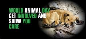 World Animal Day @ World Animal Day | Cheltenham | England | United Kingdom