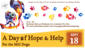 A Day of Hope and Help for the Mill Dogs (formerly Puppy Mill Awareness Day) @ Buchanan Park | Lancaster | Pennsylvania | United States