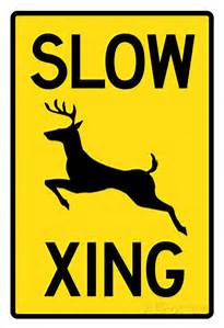 deer-xing