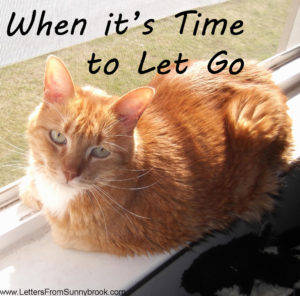 when-its-time-to-let-go