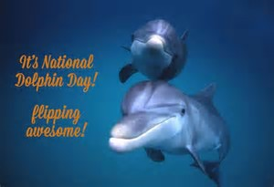 National Dolphin Day