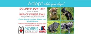 Morris Animal Refuge Adoption Event, King of Prussia @ King of Prussia | King of Prussia | Pennsylvania | United States