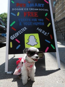 National Ice Cream Day for Your Pup!