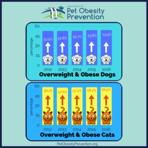 National Pet Obesity Awareness Day