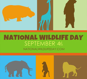 National Wildlife Day