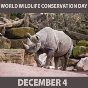 World Wildlife Conservation Day