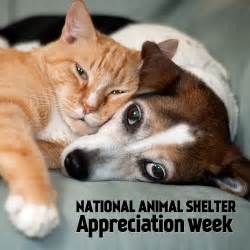 National Animal Shelter/ Rescue Appreciation Week! — Animal Welfare Issues