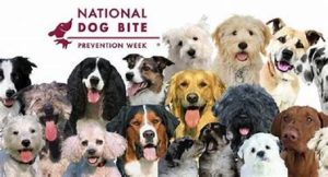 National Dog Bite Prevention Week