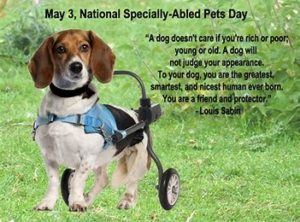 National Specially-abled Pets Day