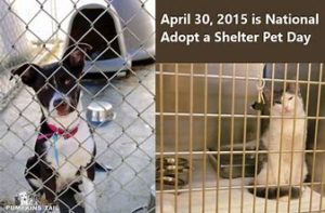 National Adopt-a- Shelter- Pet Day