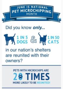 #National Microchipping Month