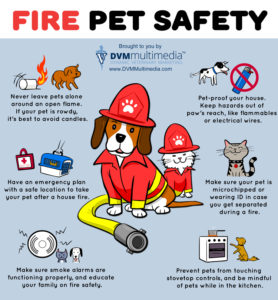 #National Pet Fire Safety Day