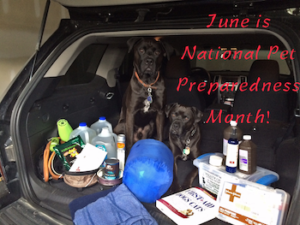 #June is National Pet Preparedness Month