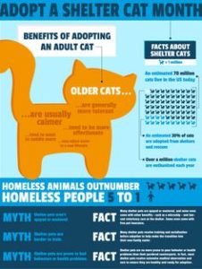 #National Adopt-A-Cat/Shelter Cat Month