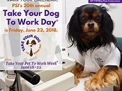 #National Take Your Dog to Work Day