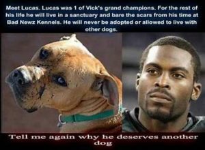 Petition demands NFL remove Michael Vick as honorary Pro Bowl captain